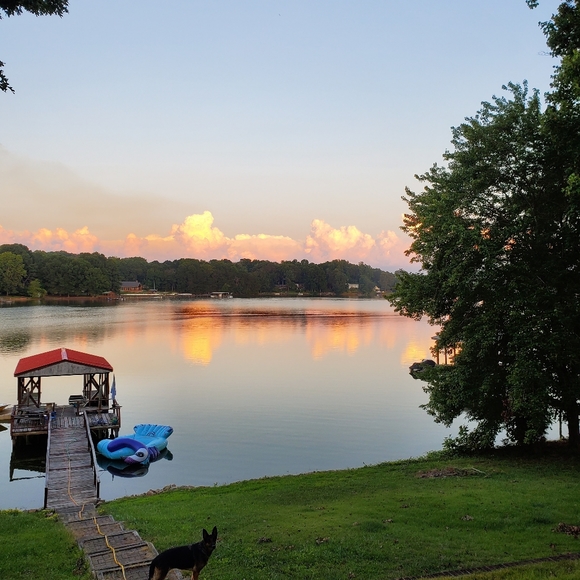 Hey!♡ Im Cat !! - Picture 14 of 16